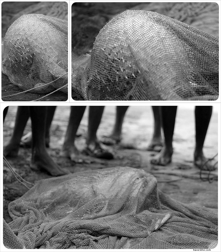 Le quotidien difficile des pêcheurs du sud de l Inde