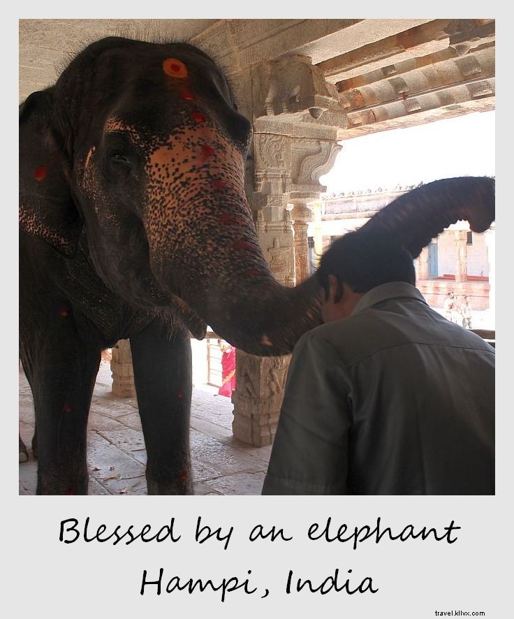 Polaroid de la semaine : bénie par un éléphant à Hampi, Inde
