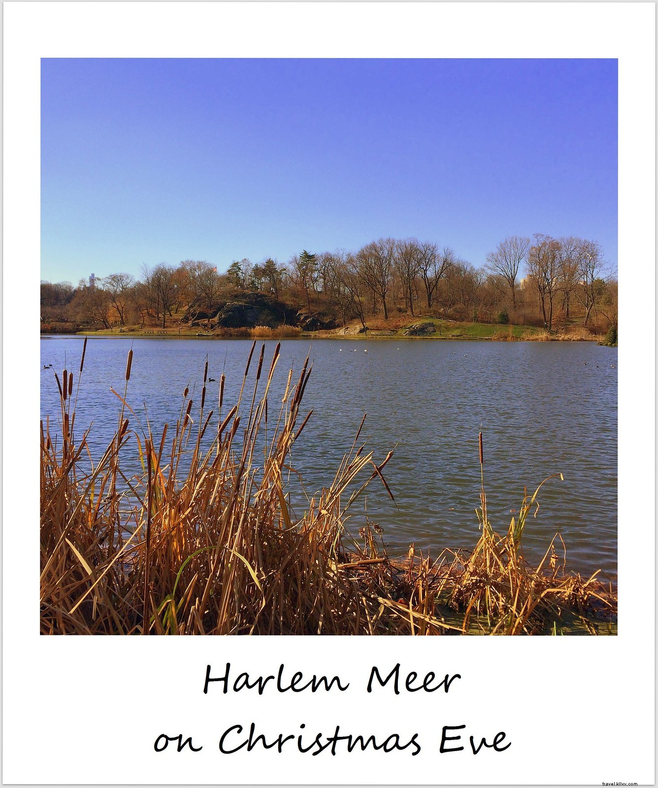 Polaroid de la semaine : le Harlem Meer sous un soleil de décembre