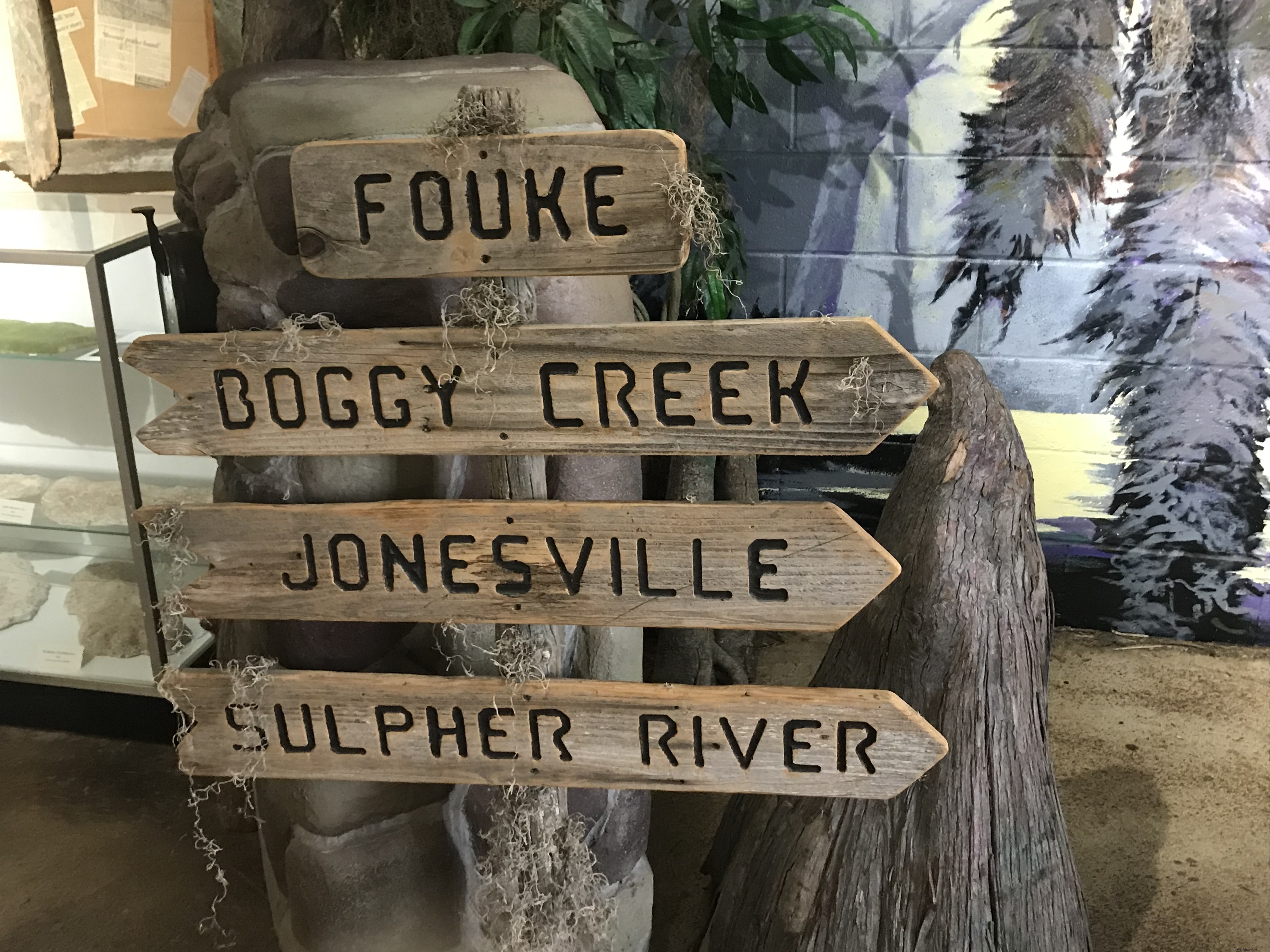 Boggy Creek : guide du parc et de la légende terrifiante