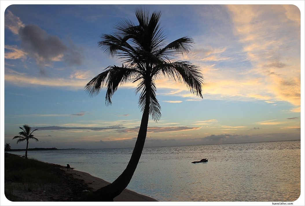 Journal de la maison de plage – Semaine 3
