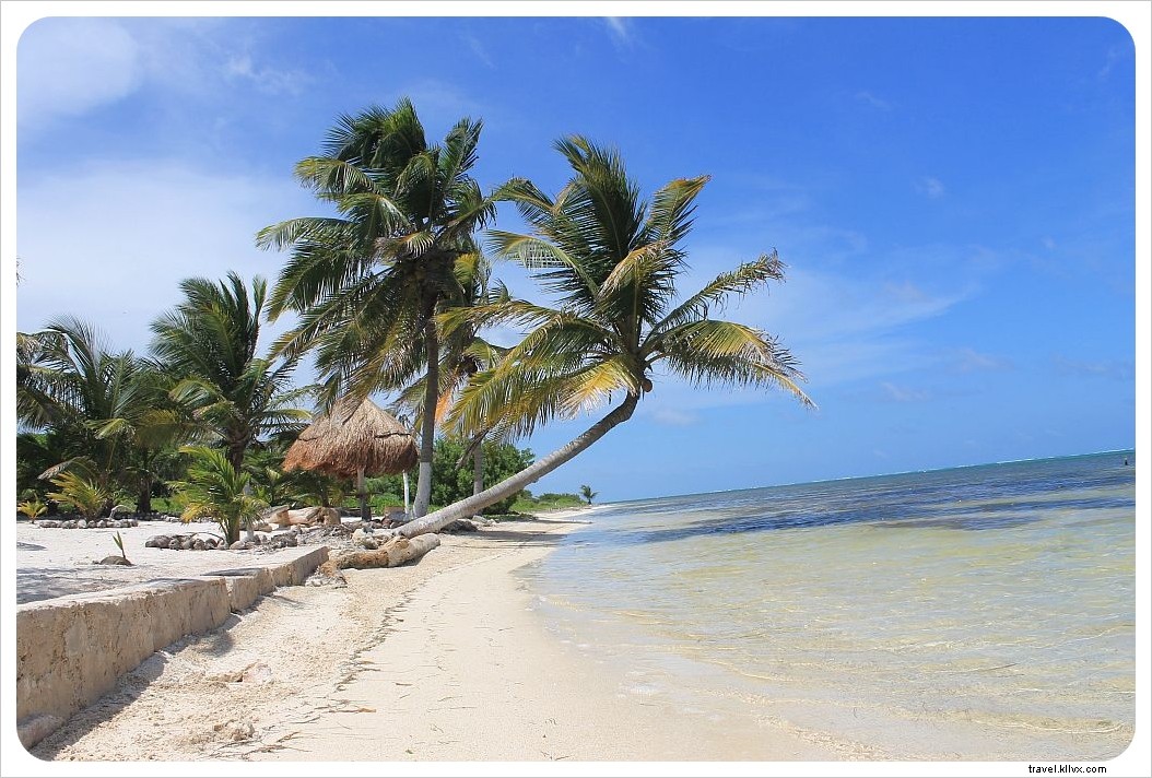 Journal de la maison de plage – Semaine 3