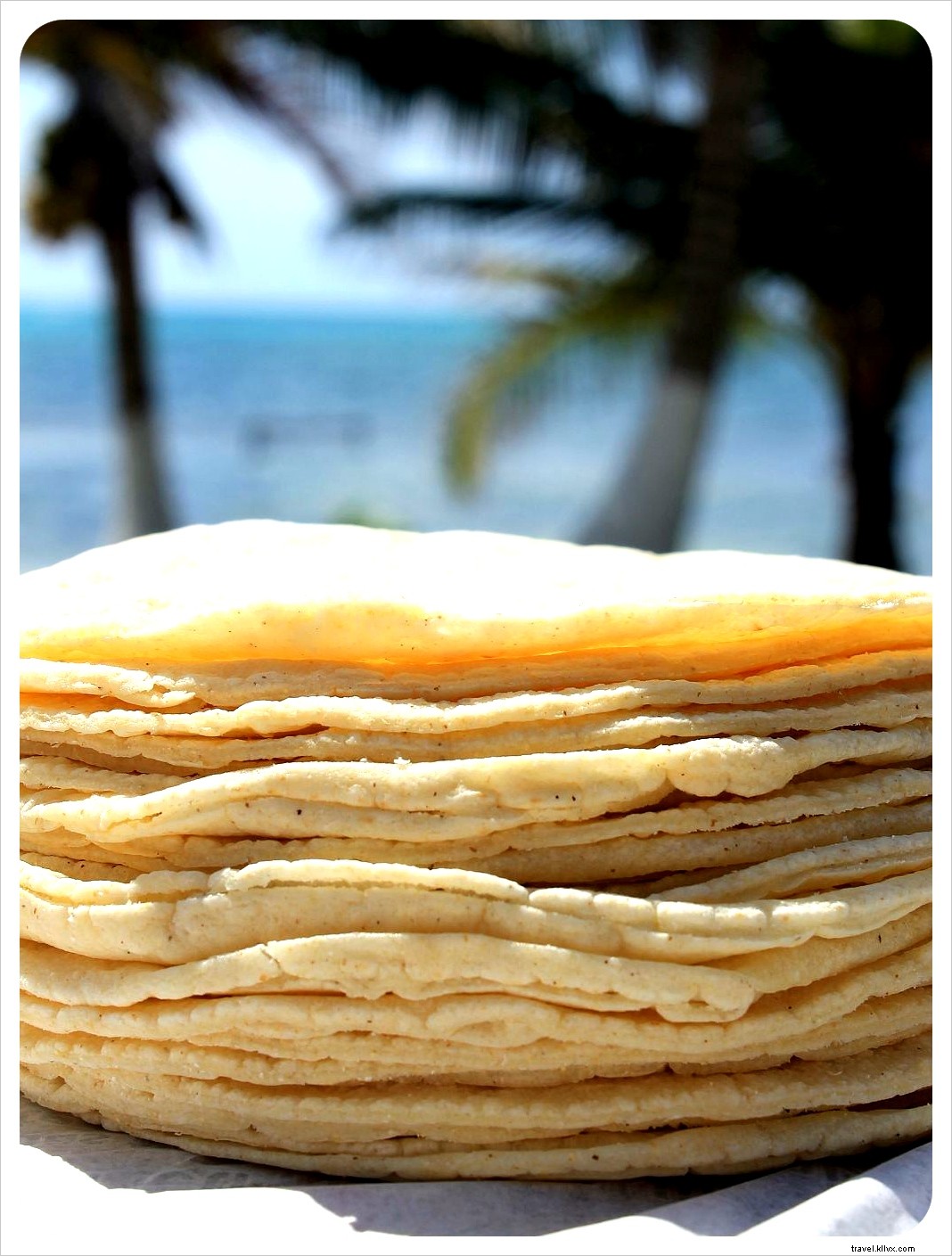 Journal de la maison de plage – Semaine 3