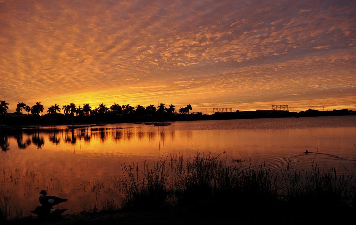 Les trois road‑trips les plus épiques de Floride