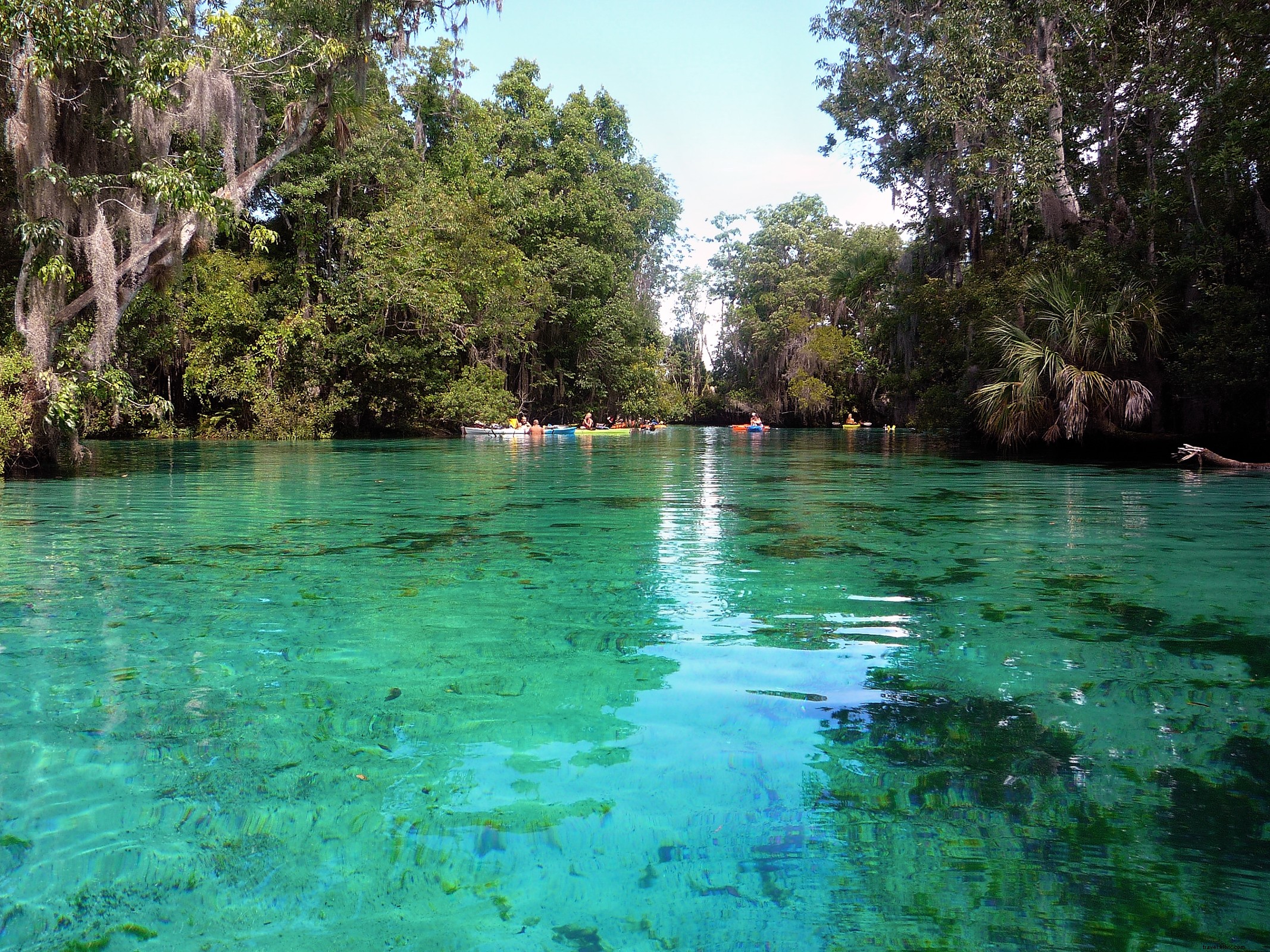 Les trois road‑trips les plus épiques de Floride