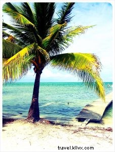 5 raisons de découvrir le Belize