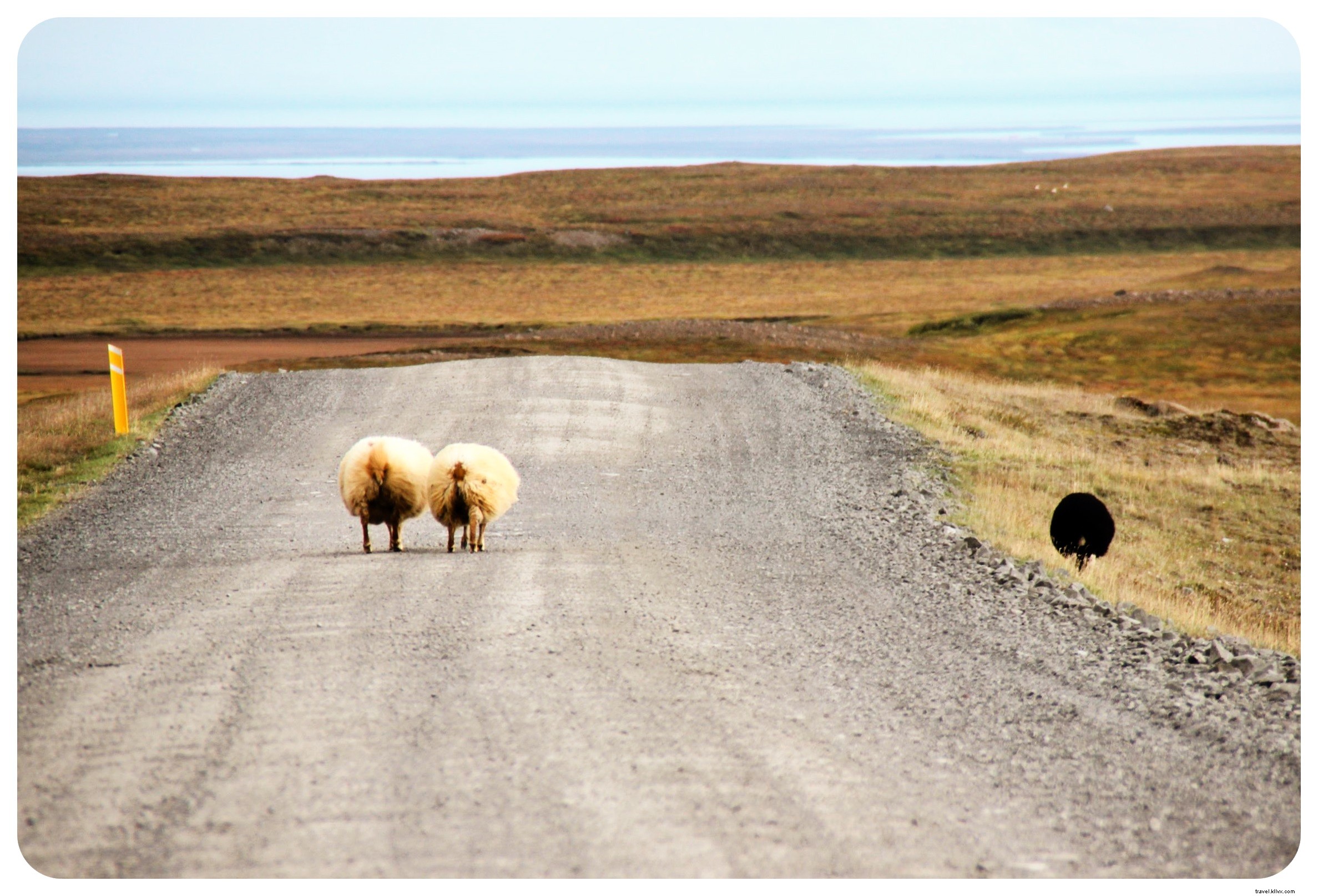 Trois raisons pour lesquelles le road‑trip est le meilleur moyen de découvrir l’Islande