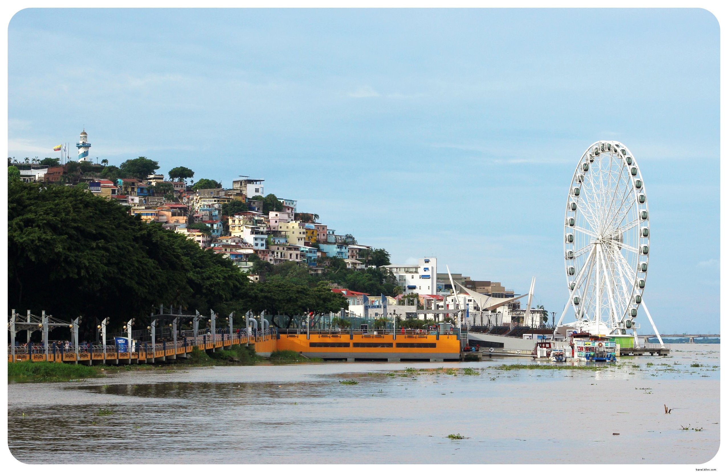 Comment les iguanes ont redonné vie à Guayaquil