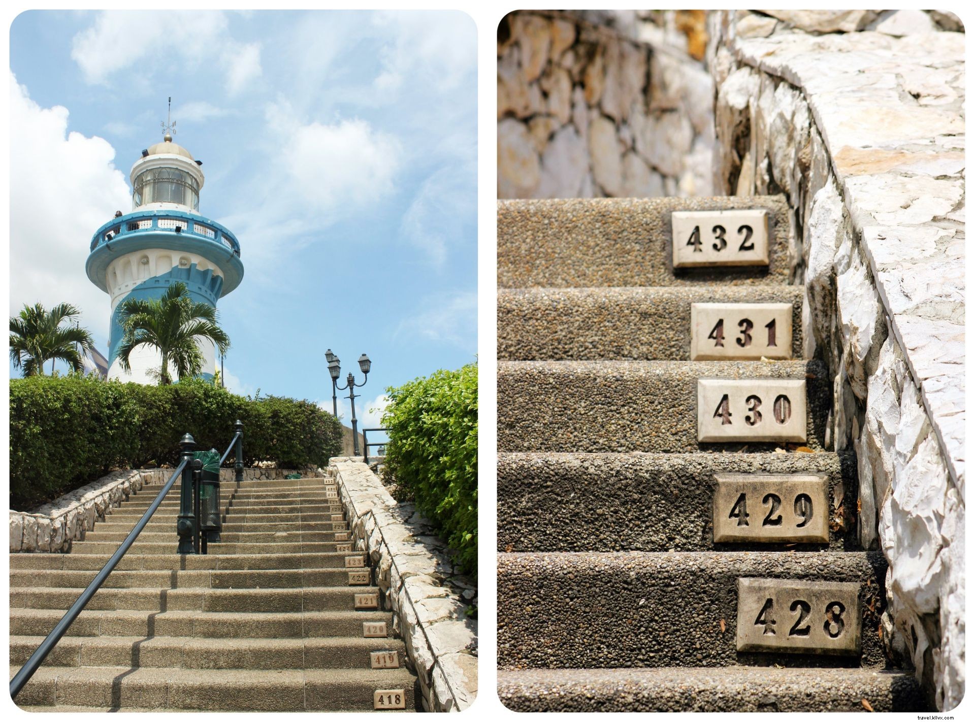Comment les iguanes ont redonné vie à Guayaquil