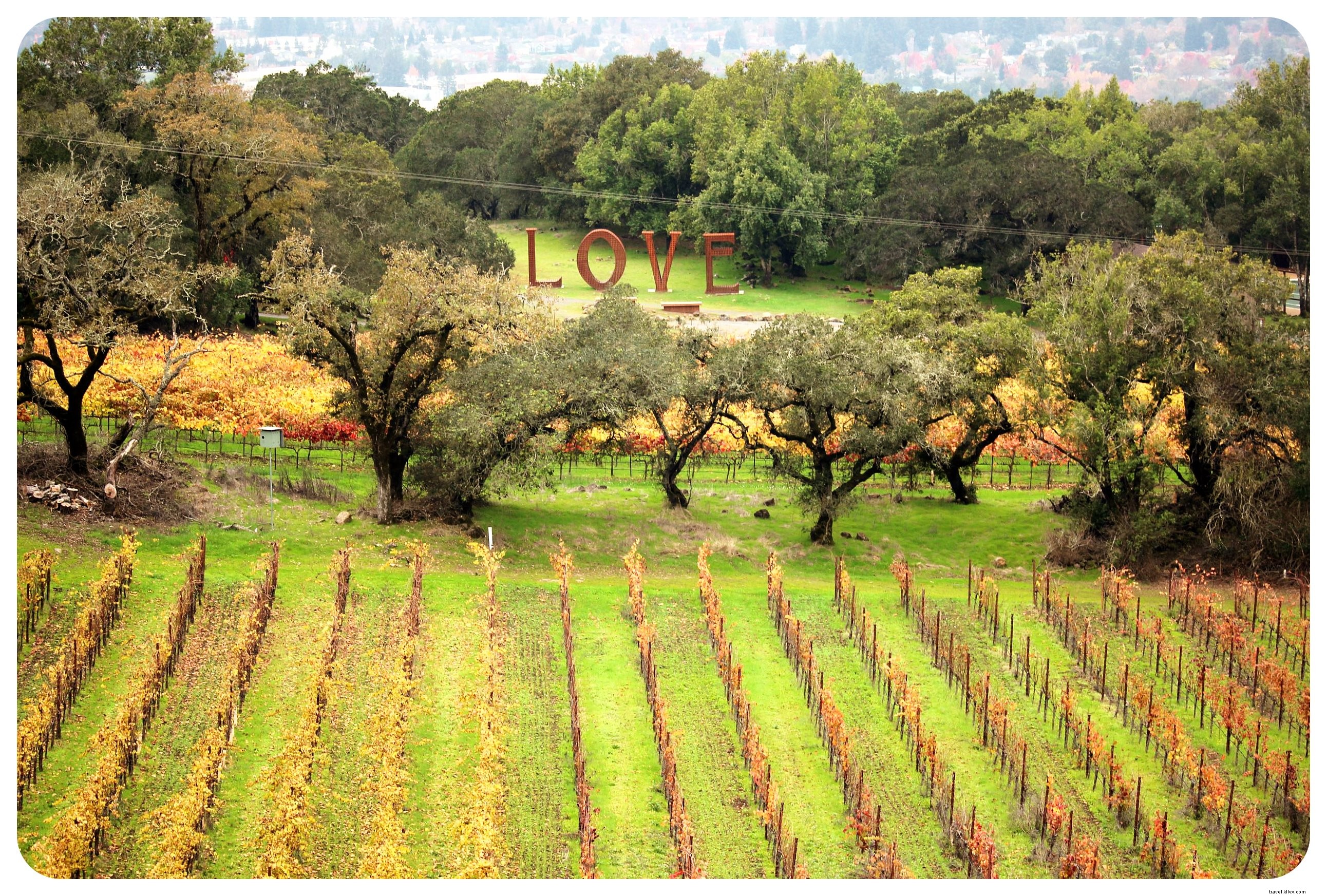 Guide ultime LGBT pour Santa Rosa et la région viticole de Sonoma
