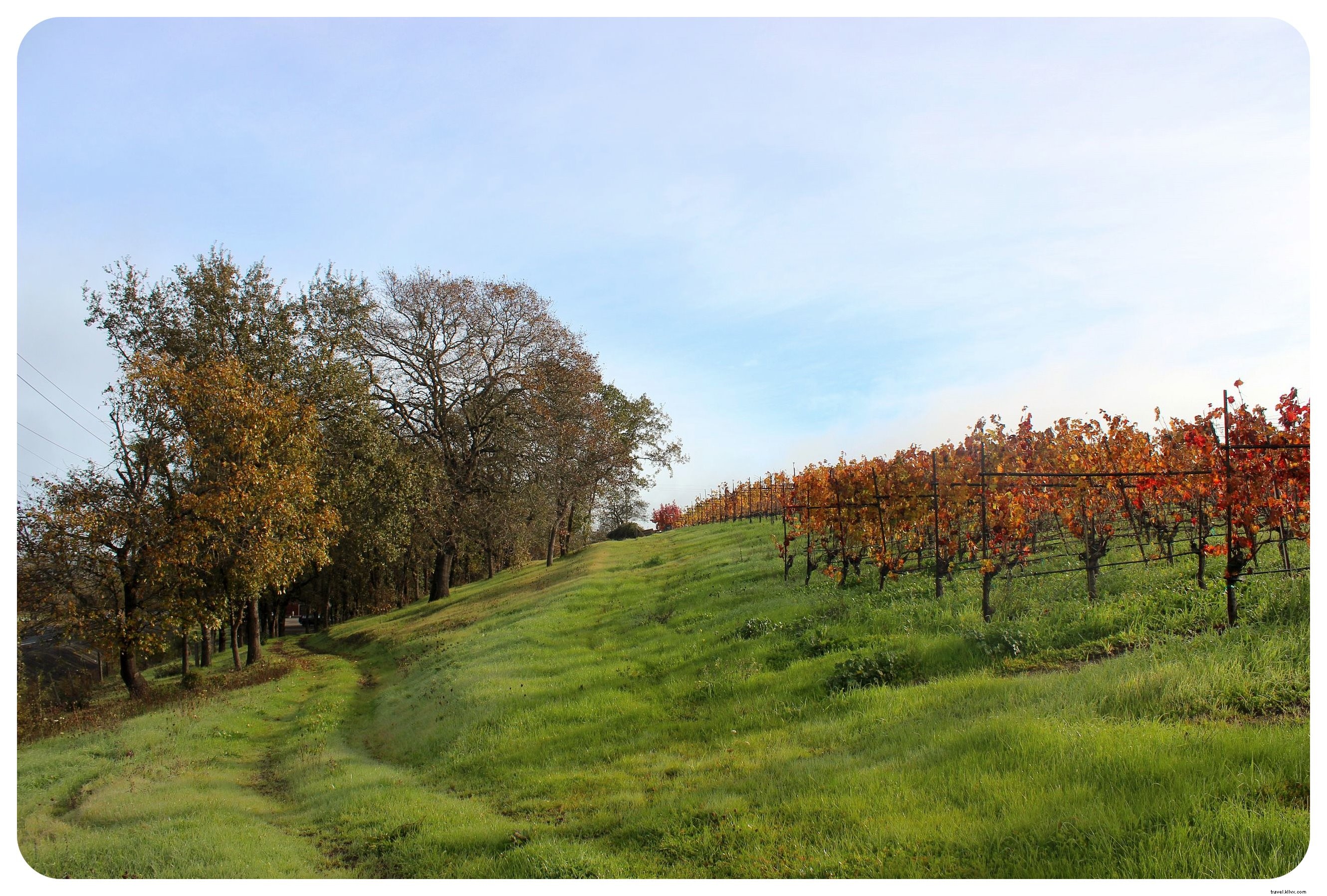 Guide ultime LGBT pour Santa Rosa et la région viticole de Sonoma