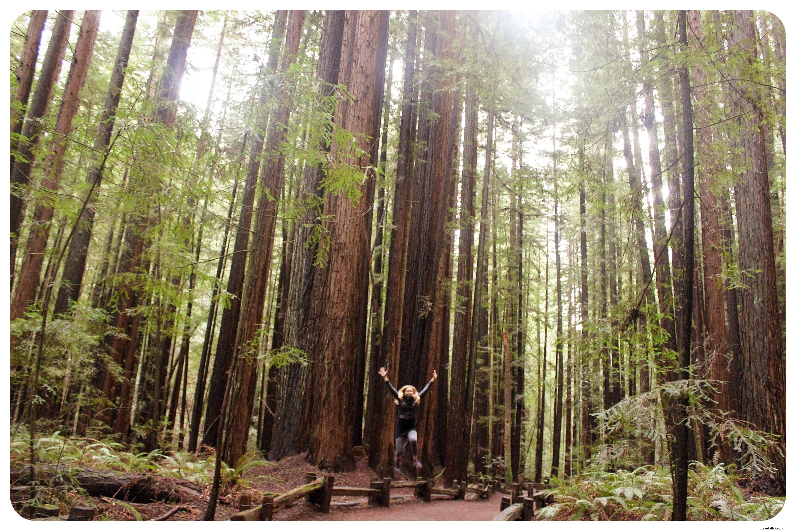 Guide ultime LGBT pour Santa Rosa et la région viticole de Sonoma