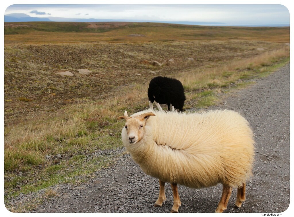 Le road trip le plus épique en Islande, Partie III : Points forts du nord de l Islande