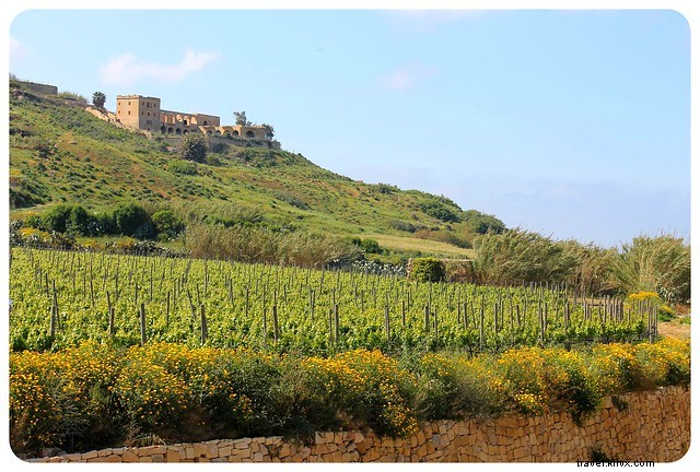 Gozo : bien plus qu’une simple petite sœur de Malte