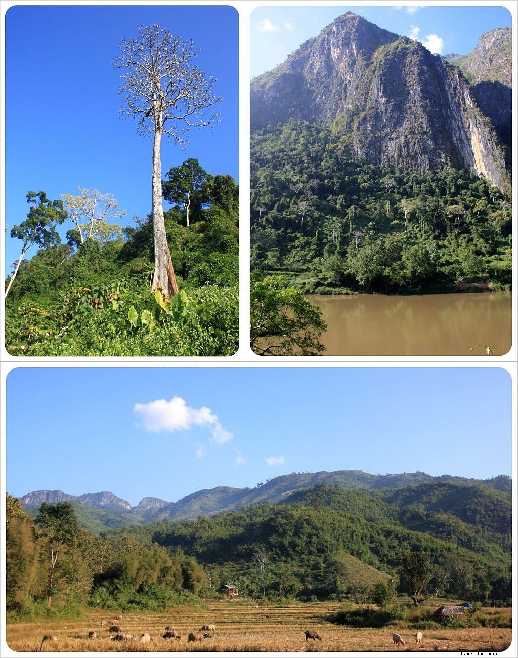 33 choses que nous aimons au Laos