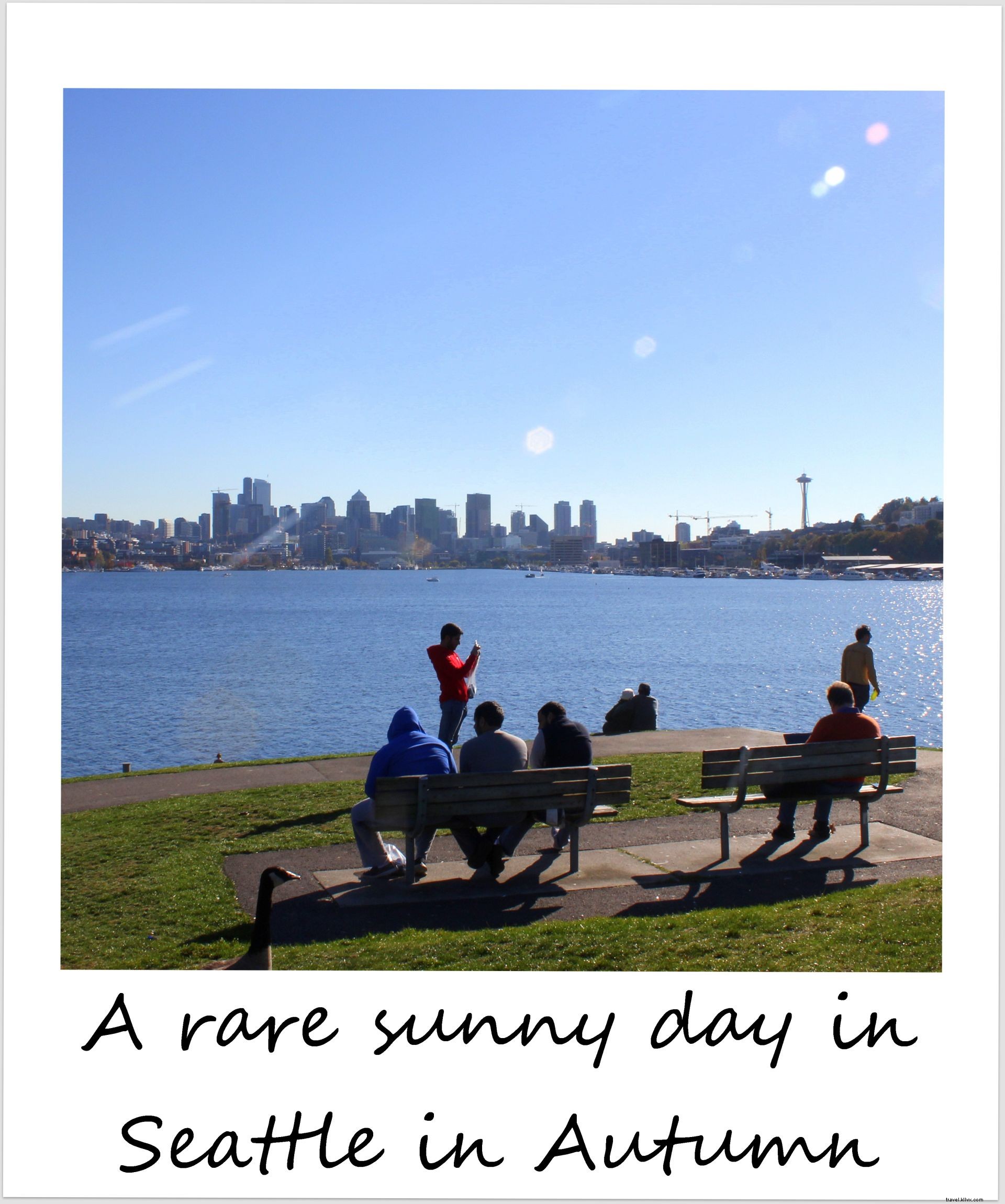 Polaroïd de la semaine : une rare journée d automne ensoleillée à Seattle