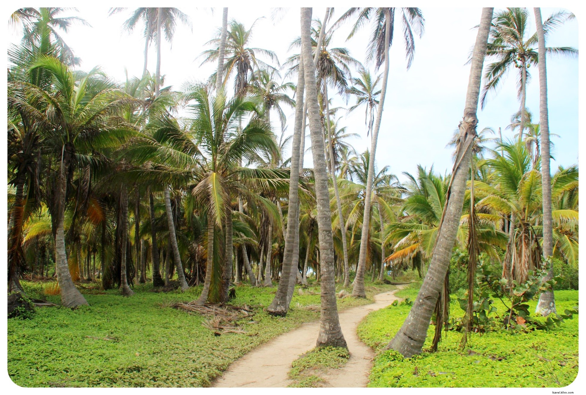 Tayrona, Colombie : là où la jungle rencontre la plage