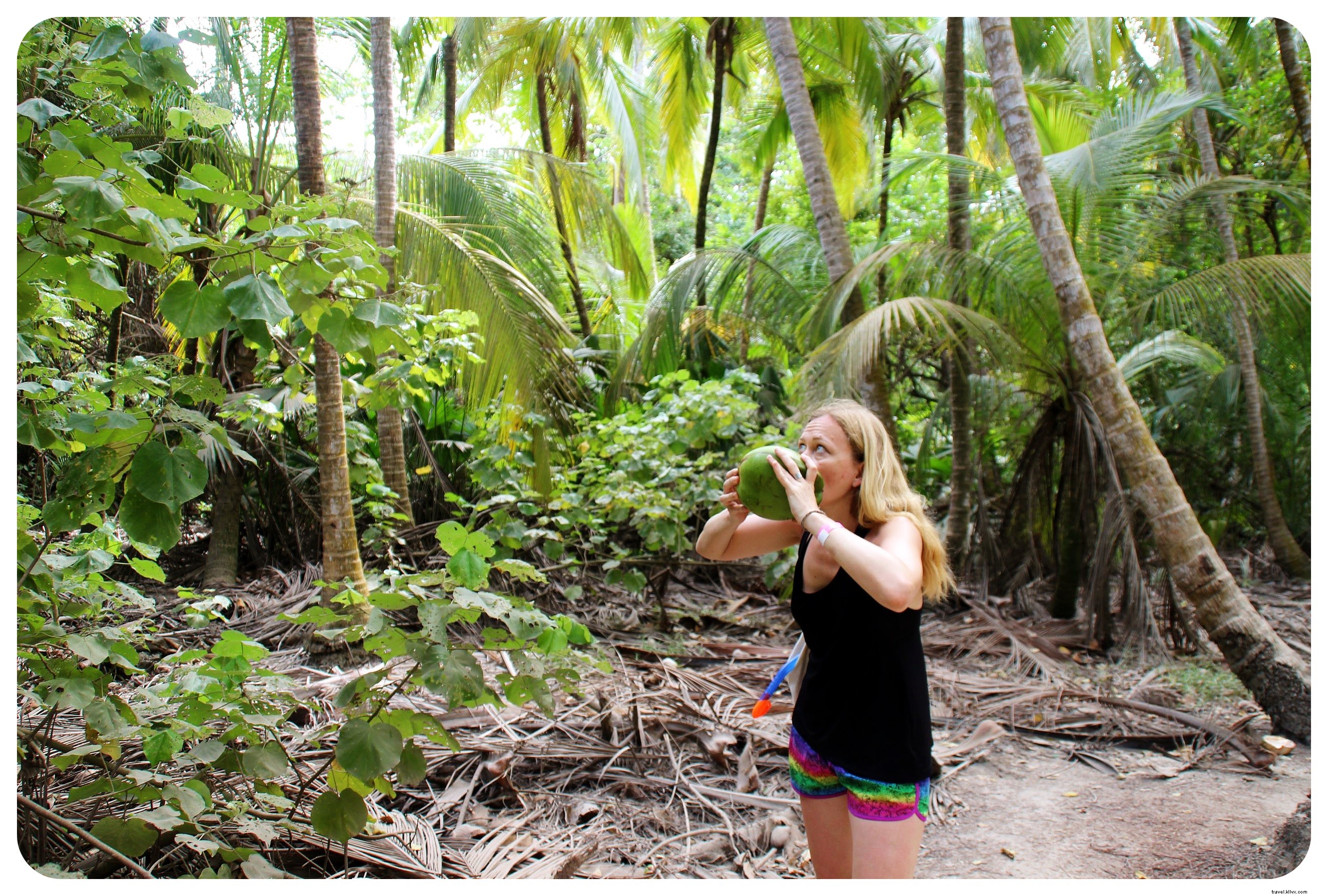 Tayrona, Colombie : là où la jungle rencontre la plage