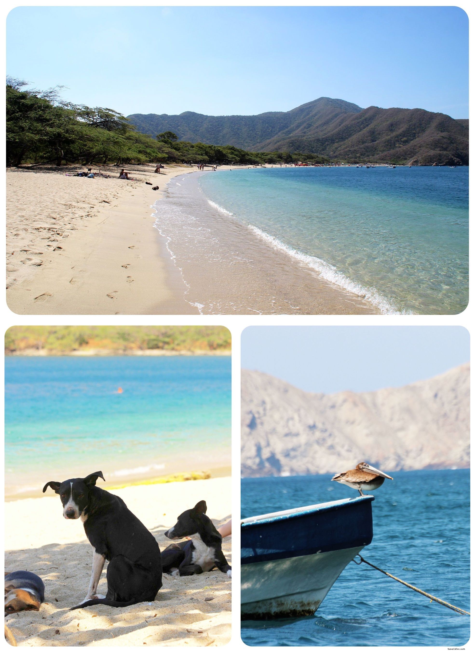 Tayrona, Colombie : là où la jungle rencontre la plage