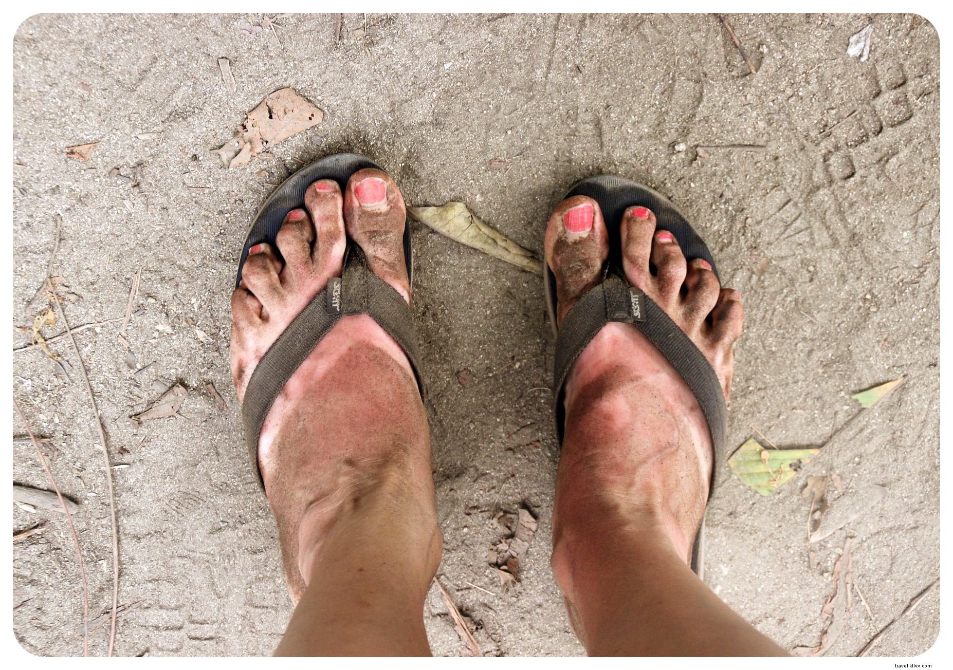 Tayrona, Colombie : là où la jungle rencontre la plage