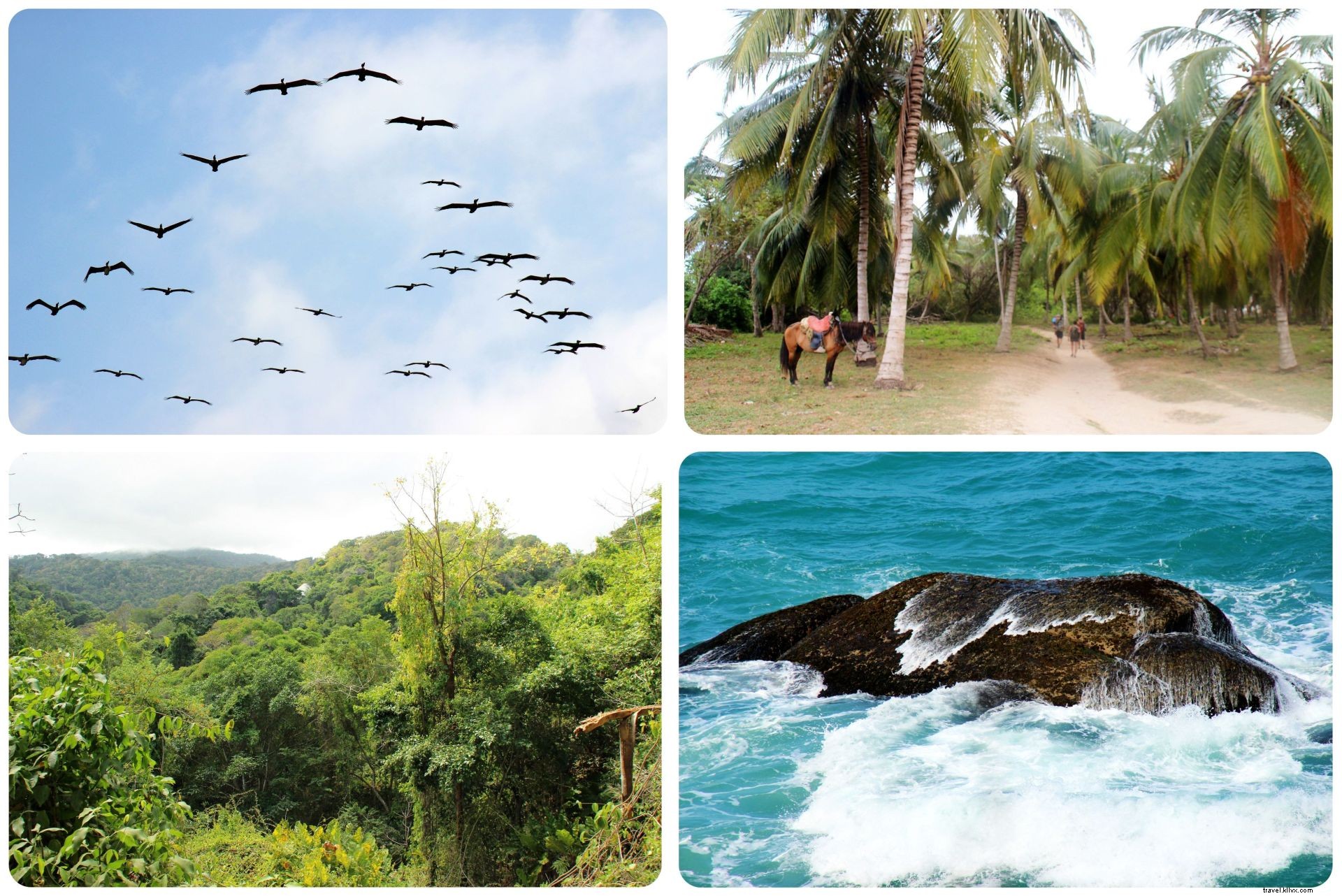 Tayrona, Colombie : là où la jungle rencontre la plage