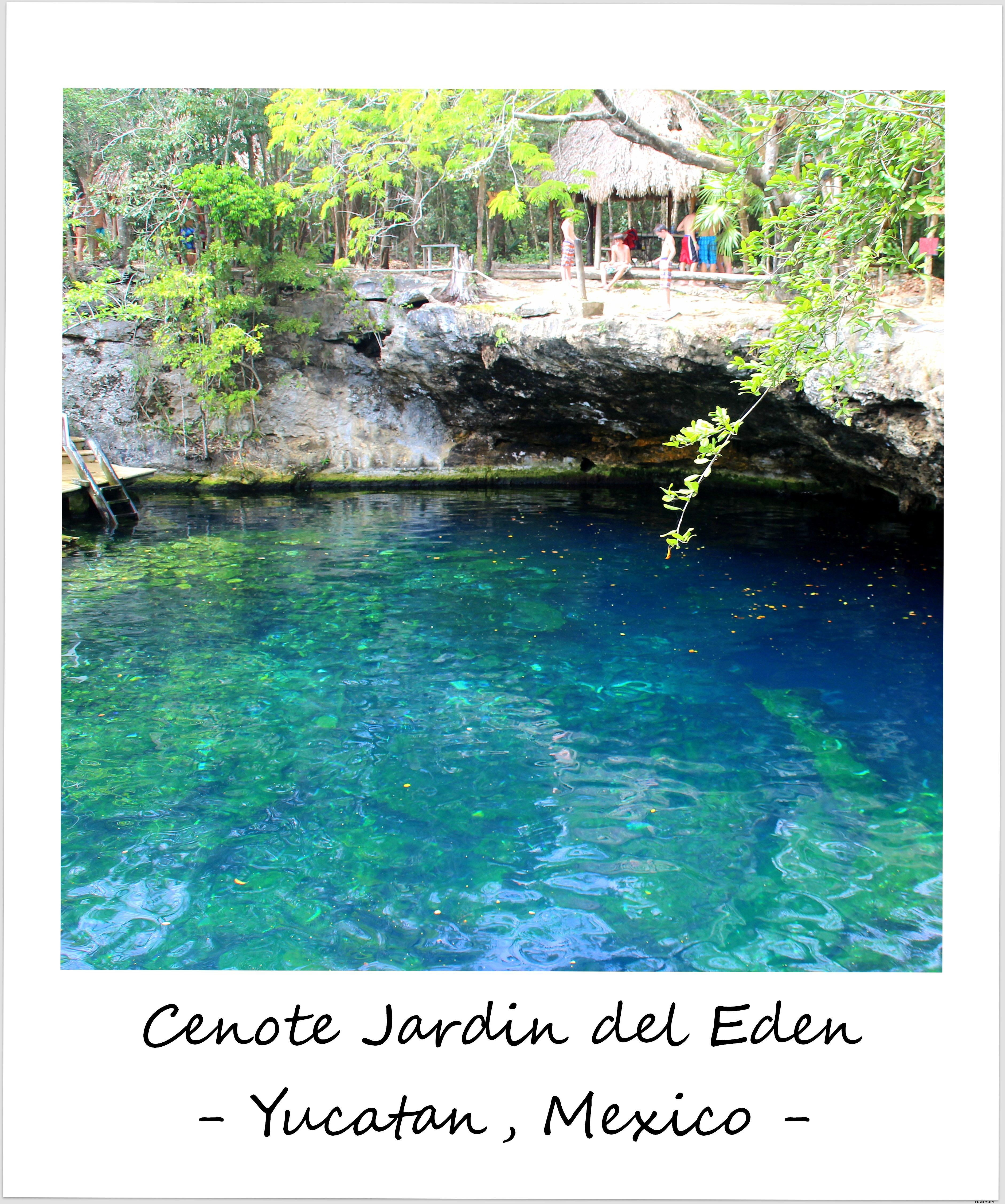Polaroïde de la semaine : mystère et beauté – les cénotes du Yucatán
