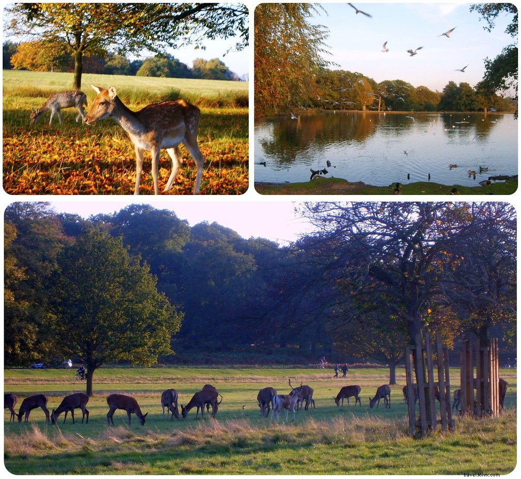 Cinq raisons de visiter Londres en hiver
