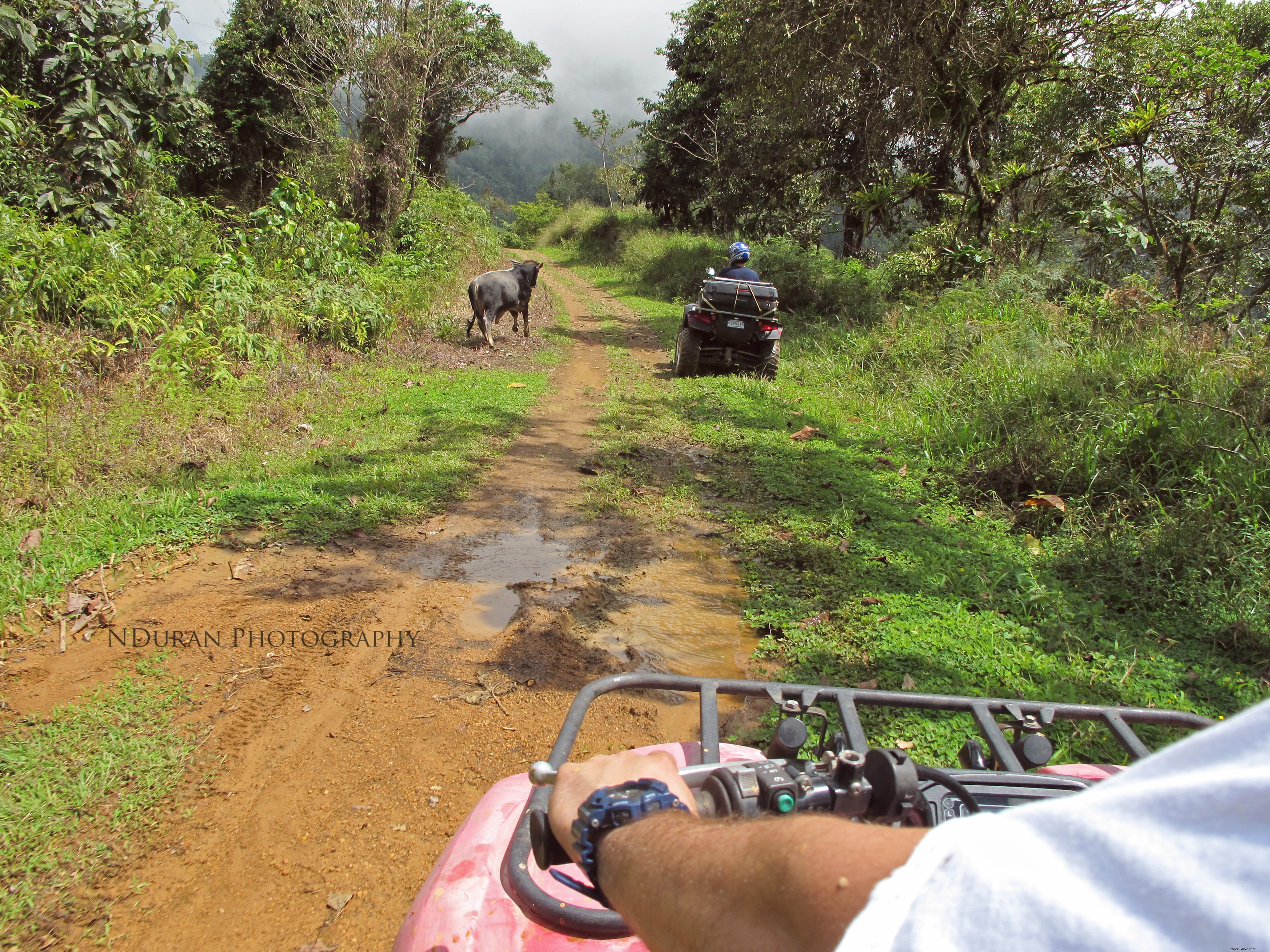 Cinq aventures incontournables au Costa Rica