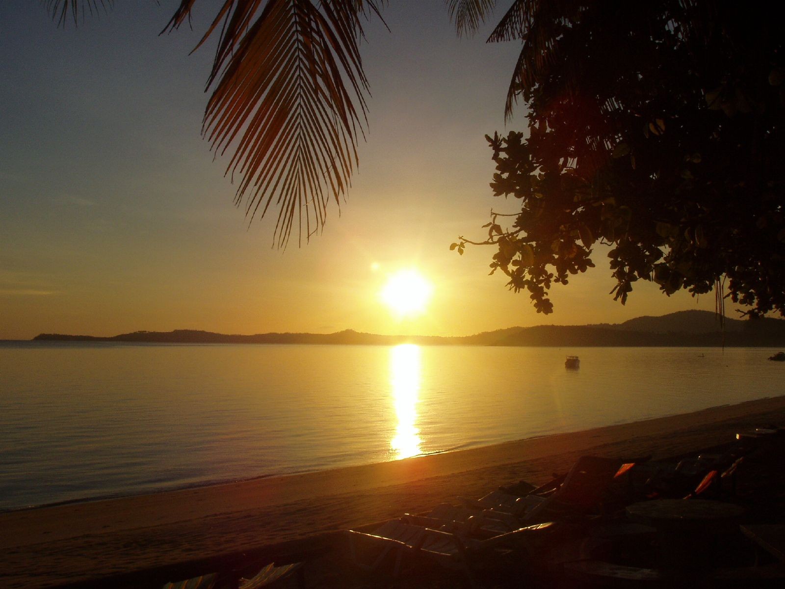 Koh Samui : l île tropicale idéale en Thaïlande