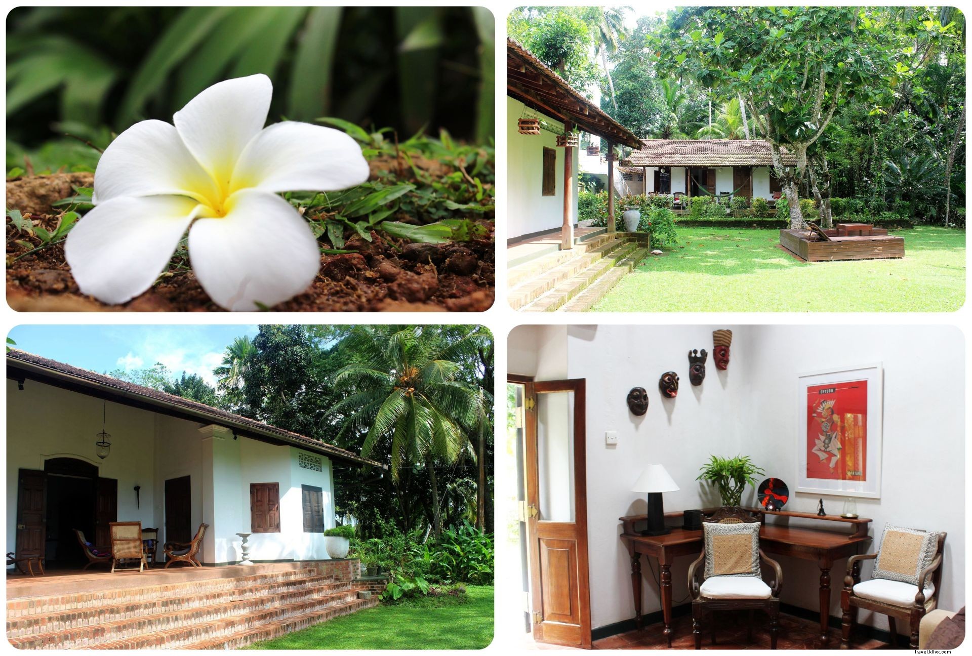 Séjourner à Galle, Sri Lanka : Villa Templeberg