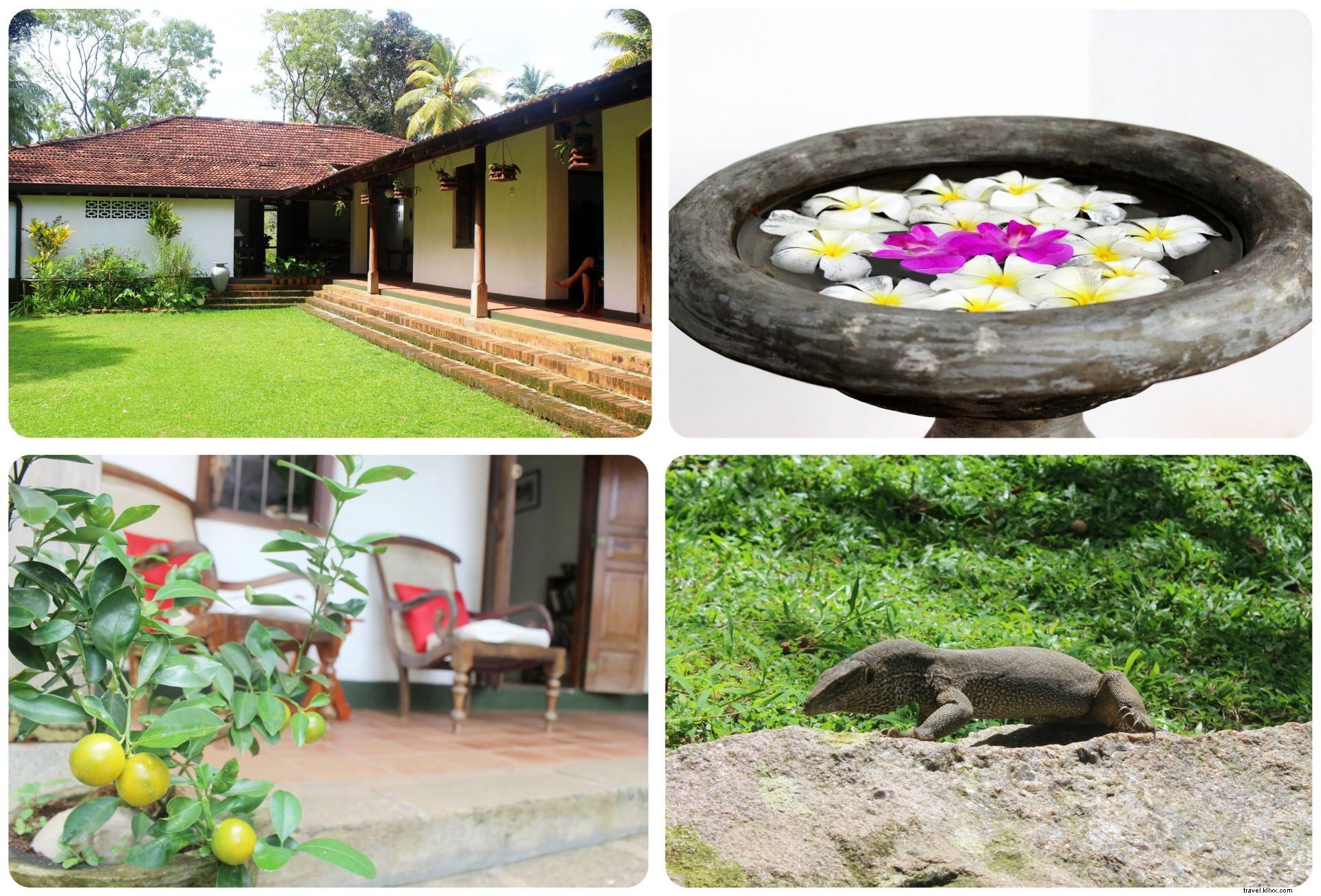 Séjourner à Galle, Sri Lanka : Villa Templeberg