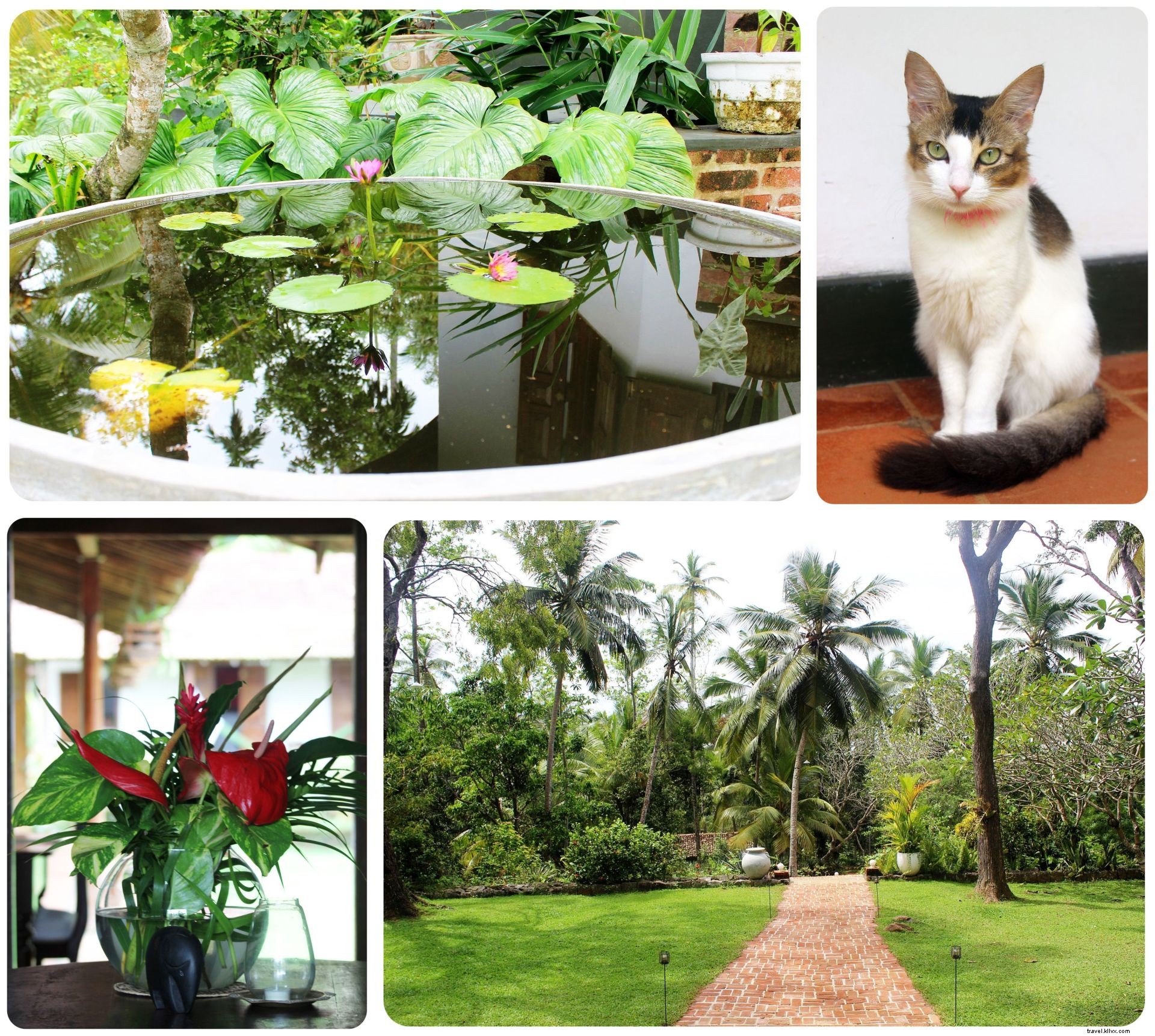Séjourner à Galle, Sri Lanka : Villa Templeberg