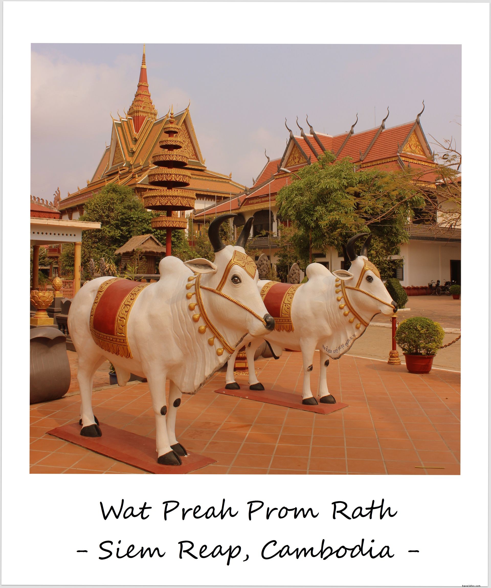 Polaroïd de la semaine : Retour au Cambodge