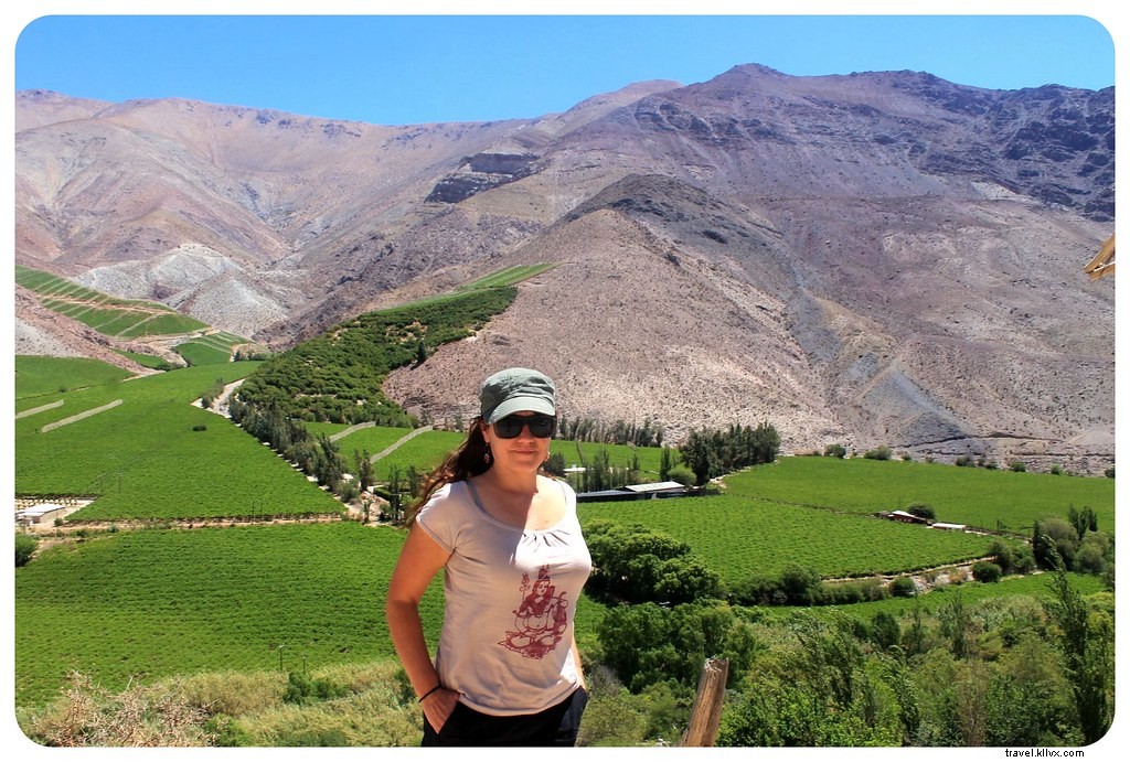 Pisco, papaye et la playa : un voyage à La Serena et la vallée de l Elqui