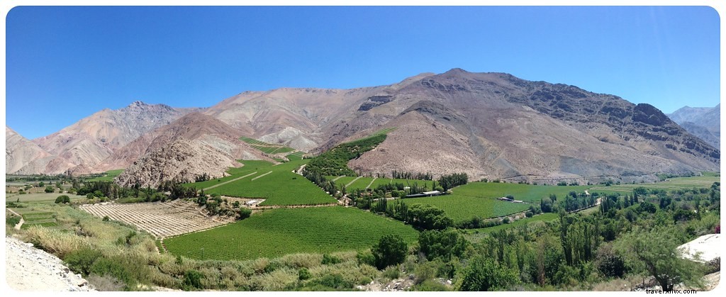 Pisco, papaye et la playa : un voyage à La Serena et la vallée de l Elqui