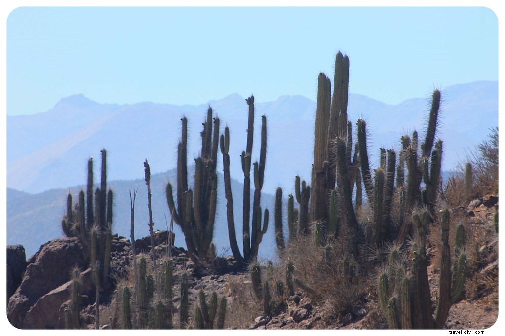 Pisco, papaye et la playa : un voyage à La Serena et la vallée de l Elqui