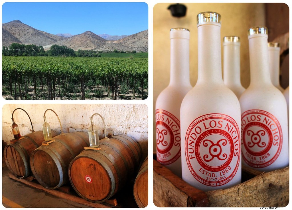 Pisco, papaye et la playa : un voyage à La Serena et la vallée de l Elqui