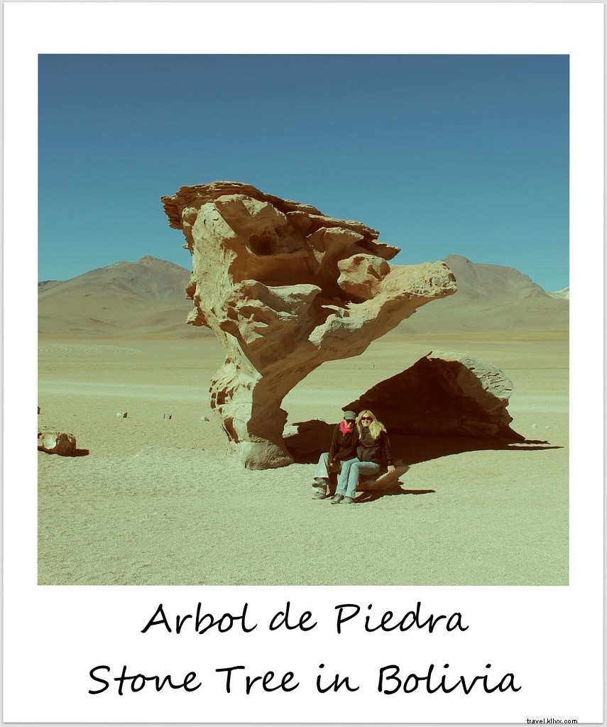 Polaroid de la semaine : L arbre de pierre dans le désert de Siloli en Bolivie