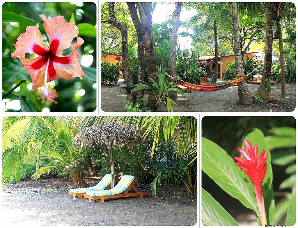 Hôtel de la semaine : Hôtel Fénix – Plage de Samara, Costa Rica