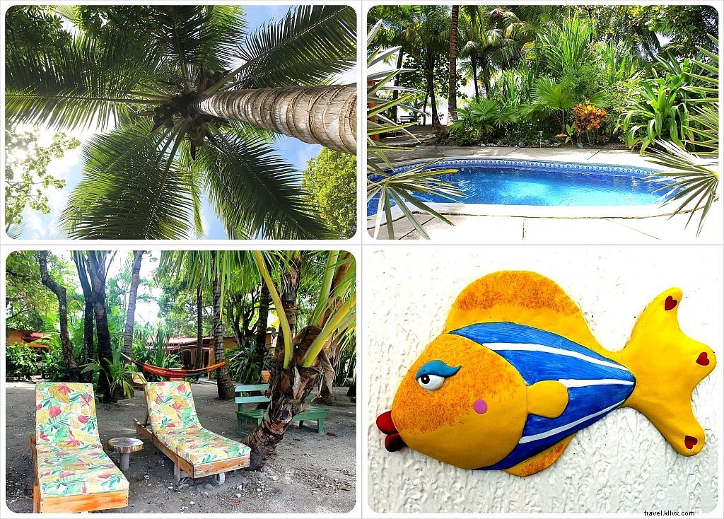 Hôtel de la semaine : Hôtel Fénix – Plage de Samara, Costa Rica