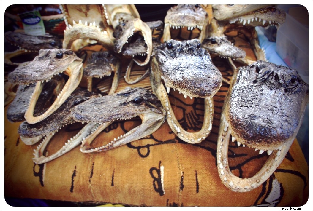 Grand road trip américain : alligators et jazz à profusion