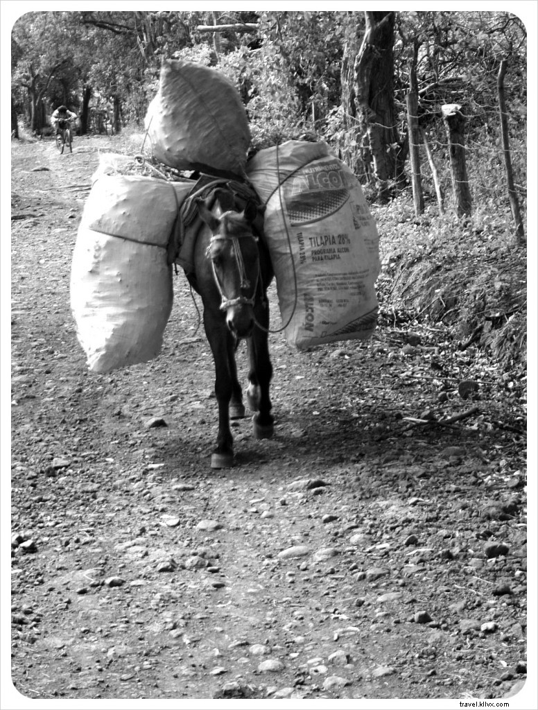 Vie villageoise sur l île d Ometepe, Nicaragua – Reportage photo