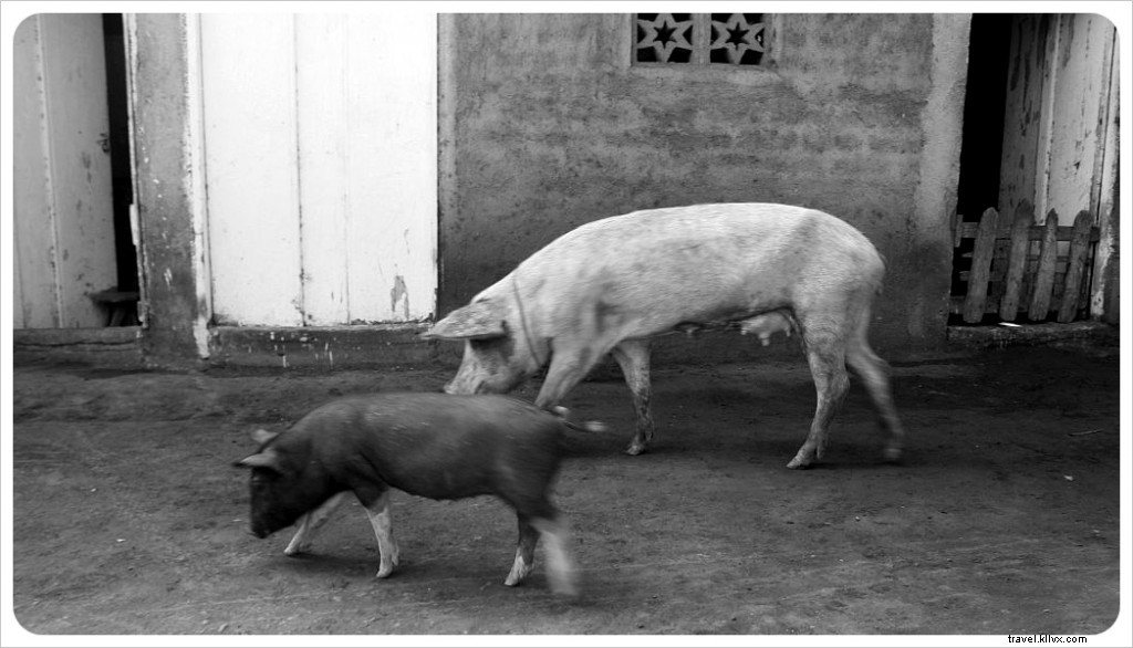 Vie villageoise sur l île d Ometepe, Nicaragua – Reportage photo