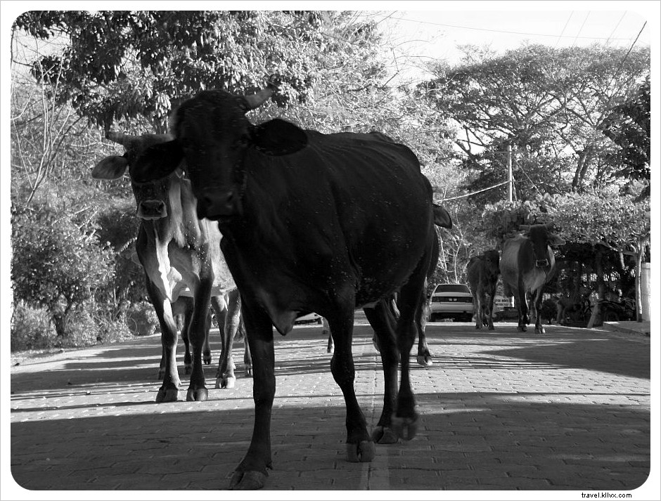 Vie villageoise sur l île d Ometepe, Nicaragua – Reportage photo