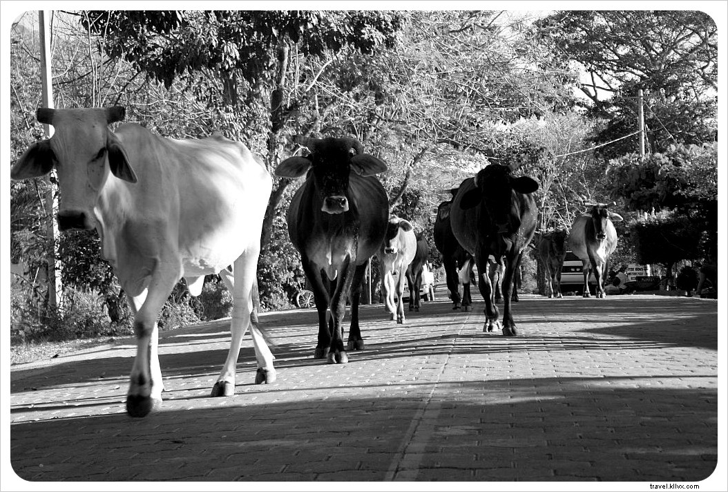Vie villageoise sur l île d Ometepe, Nicaragua – Reportage photo