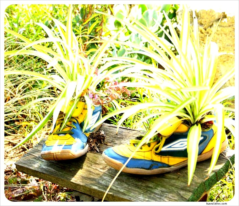 San Francisco : les Painted Ladies et le jardin de chaussures