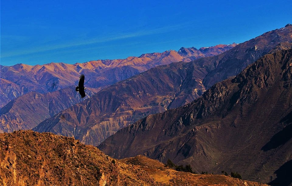 Canyon de Colca, Pérou : trekking, tourisme, faits et légendes