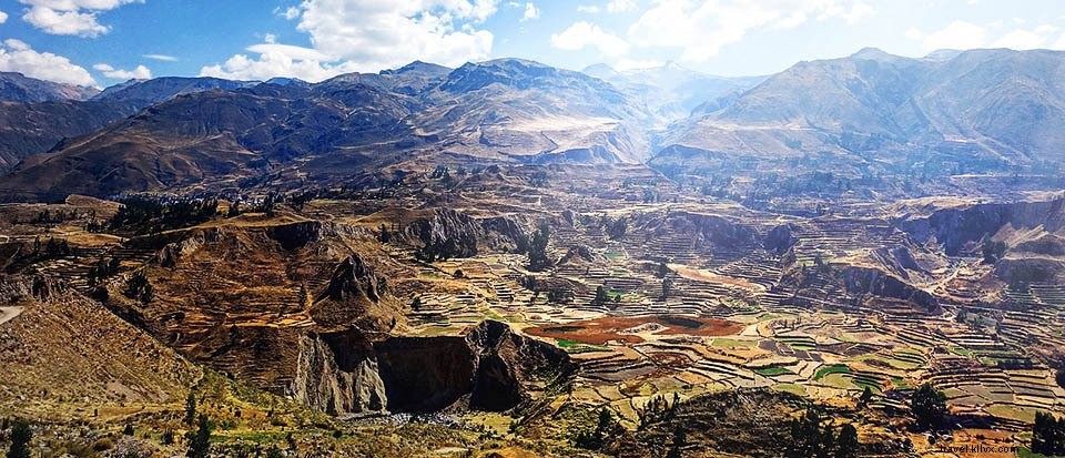 Canyon de Colca, Pérou : trekking, tourisme, faits et légendes