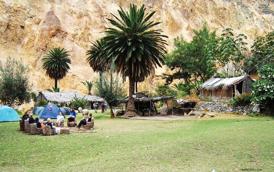Canyon de Colca, Pérou : trekking, tourisme, faits et légendes