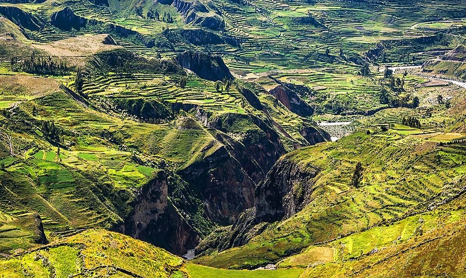 Canyon de Colca, Pérou : trekking, tourisme, faits et légendes